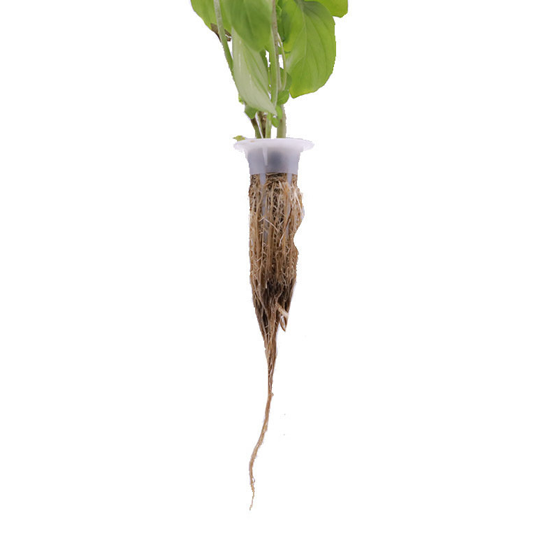 Seedling Grow Blocks