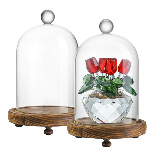 2pcs Glass Display Dome