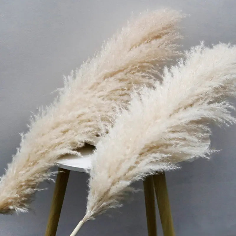Bulk Dried Reed Flower Bouquet