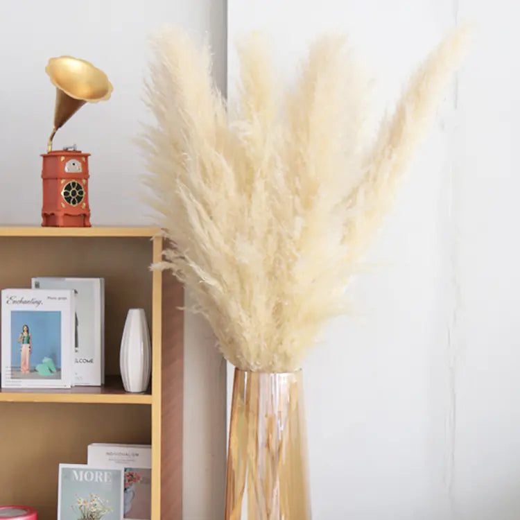 Bulk Dried Reed Flower Bouquet