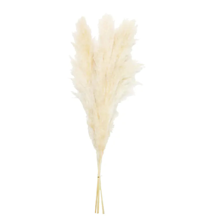 Bulk Dried Reed Flower Bouquet