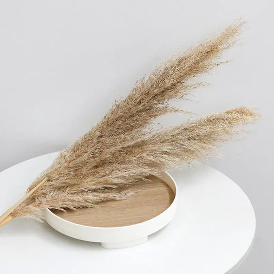 Bulk Dried Reed Flower Bouquet