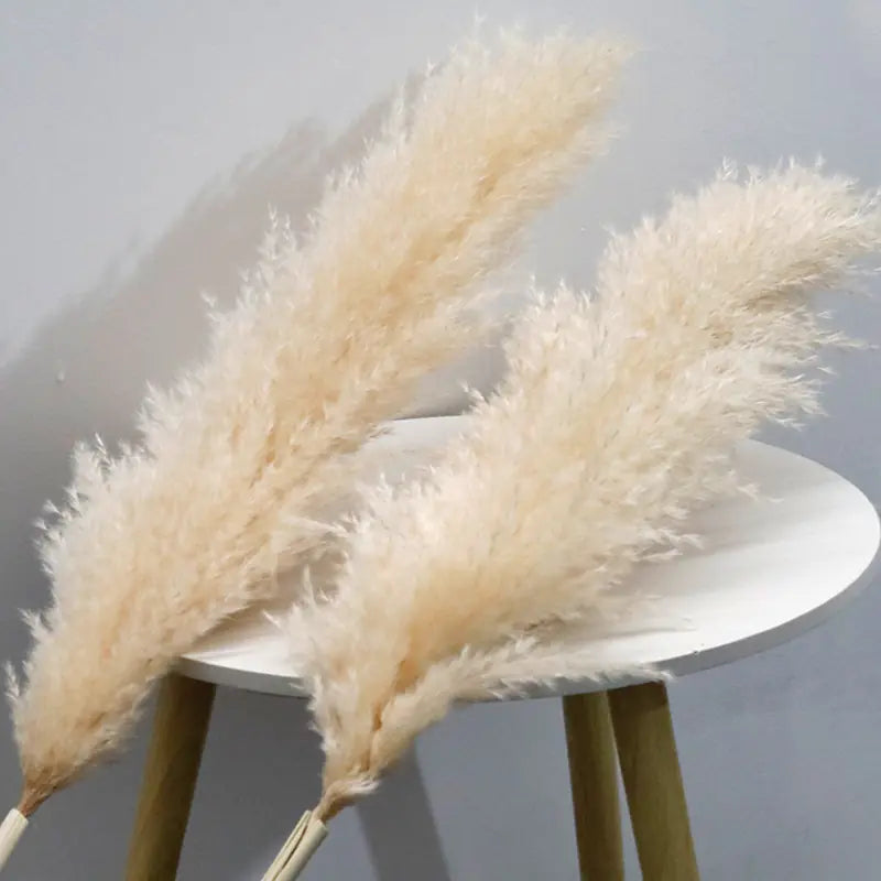 Bulk Dried Reed Flower Bouquet