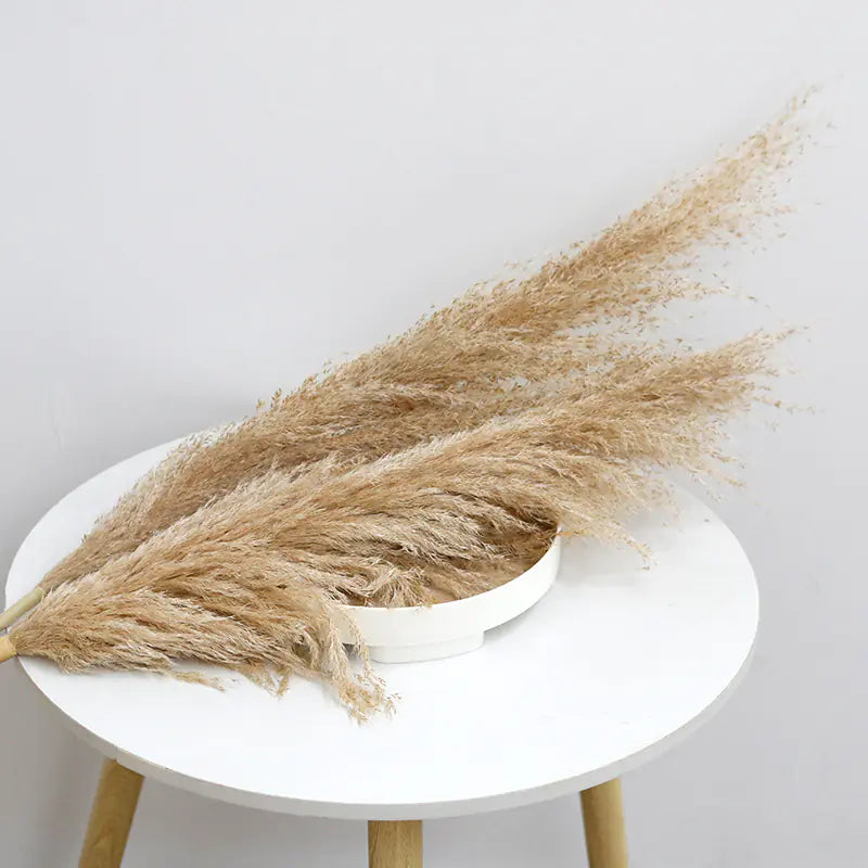 Bulk Dried Reed Flower Bouquet