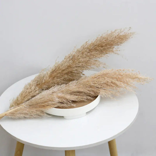 Bulk Dried Reed Flower Bouquet